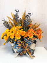 Happy Harvest Step Sitter Kit
