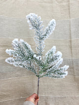 Winterfest Snowed Pine Spray