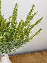 Sage Astilbe Bundle