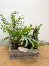 20" Green Thumb Centerpiece