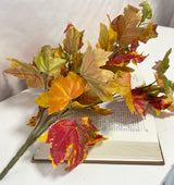 Flame Maple Bush