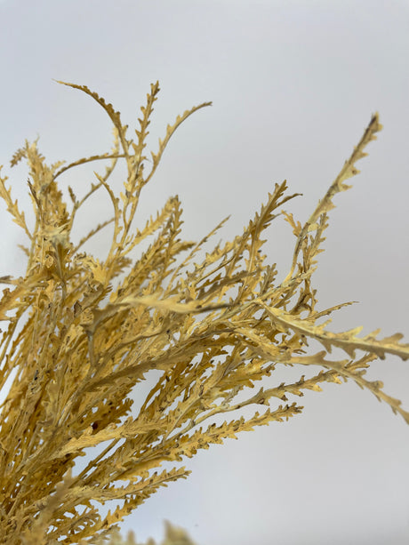 Wheat Real Touch Fern Bush