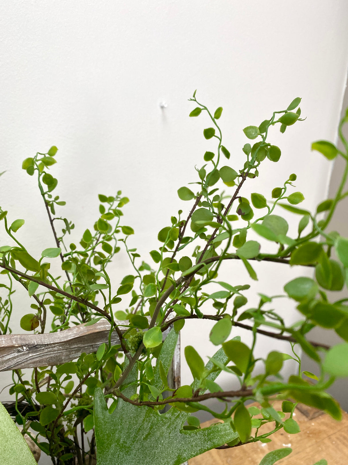20" Green Thumb Centerpiece