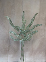 Glittering Green Fern Spray