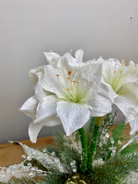 17" Snowy Amaryllis Centerpiece