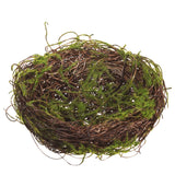 Moss Bird's Nest Accent