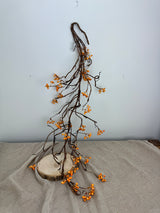 Bendy Bittersweet Branch
