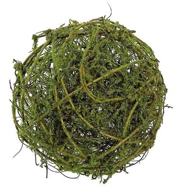 6" More Moss Vine Orb