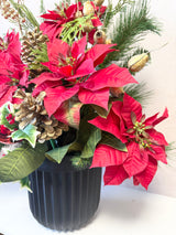 Magical Holiday Porch Pot Kit