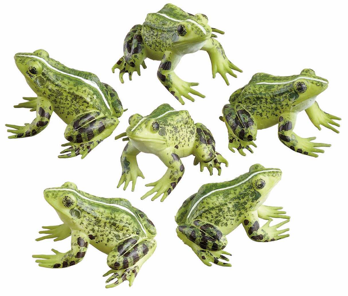 Baby Frog Friend Box of 6