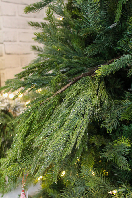 Iced Garden Norfolk Pine Branch