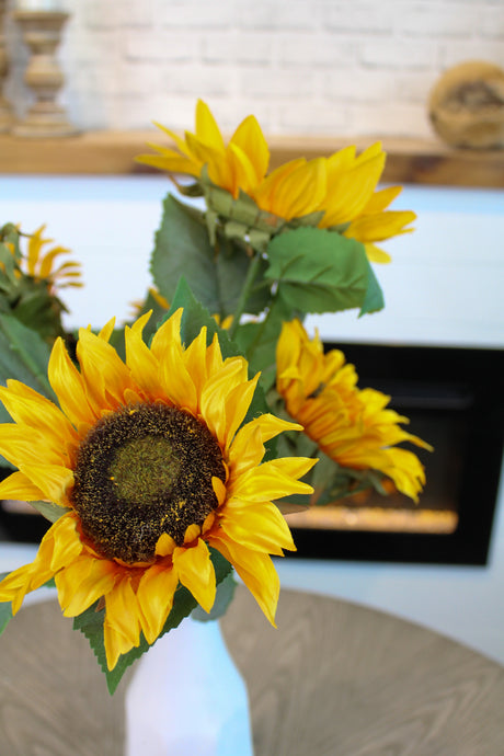 Yellow Sunny Sunflower Bush