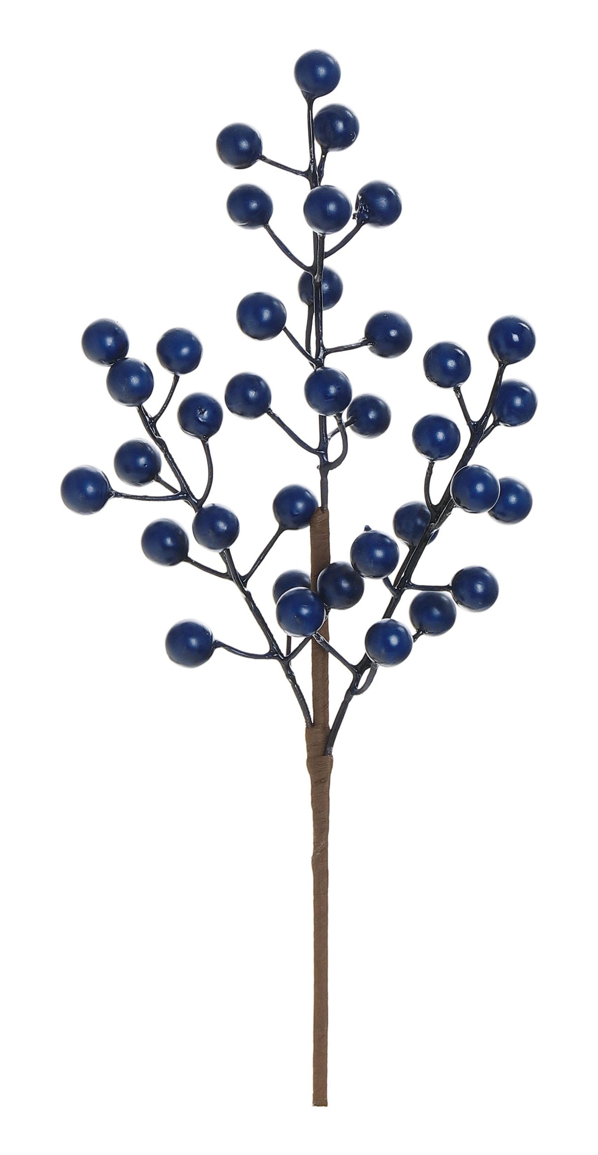 Blue Bitty Berry Pick