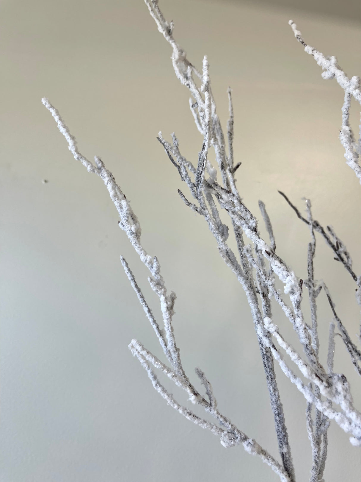 Snowed Twig Spray