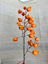 Jumbo Lantern Fruit Spray