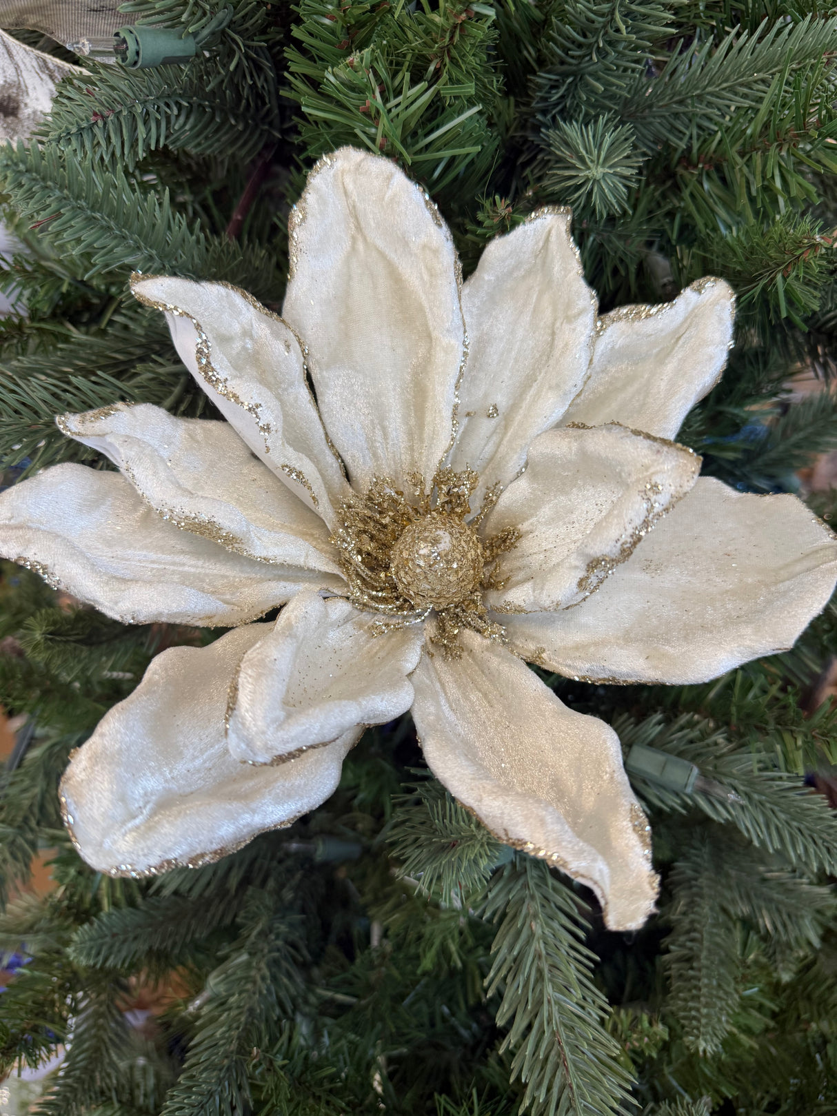 Ivory Long Stem Magnolia