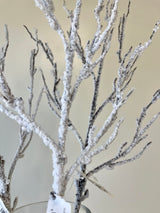 Snowed Twig Spray