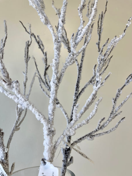 Snowed Twig Spray