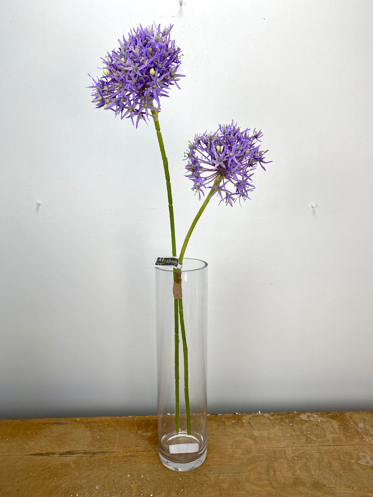 Lavender Allium Bundle