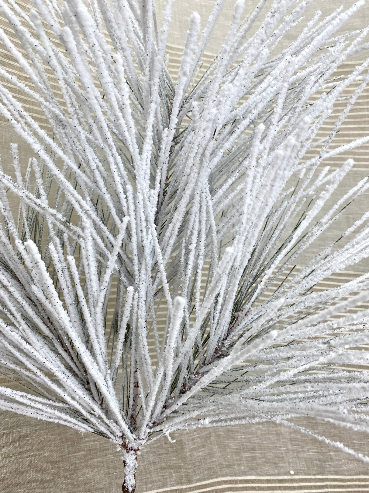 Powerdered Snow Long Needle Pine Spray