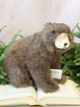 Sitting Brown Bear