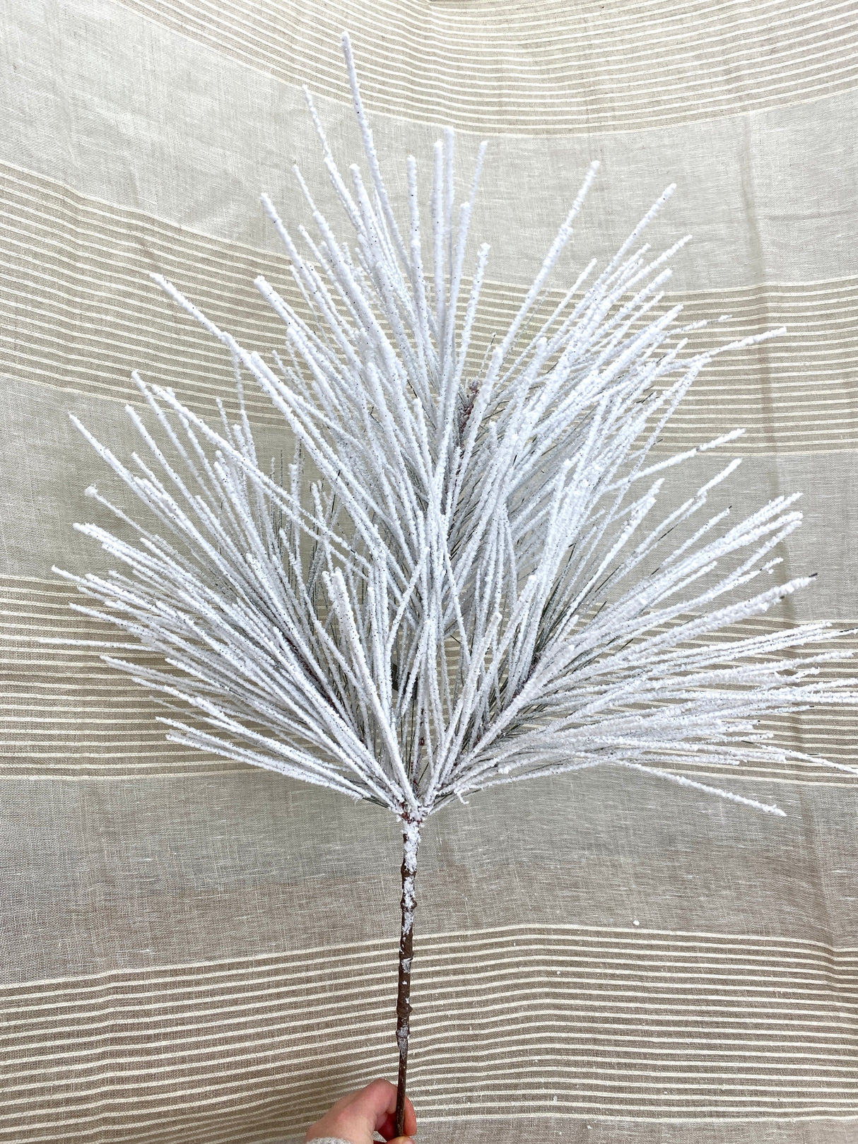 Powerdered Snow Long Needle Pine Spray