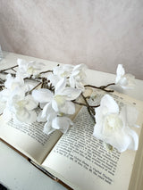 Cream Frosted Mini Magnolia Spray