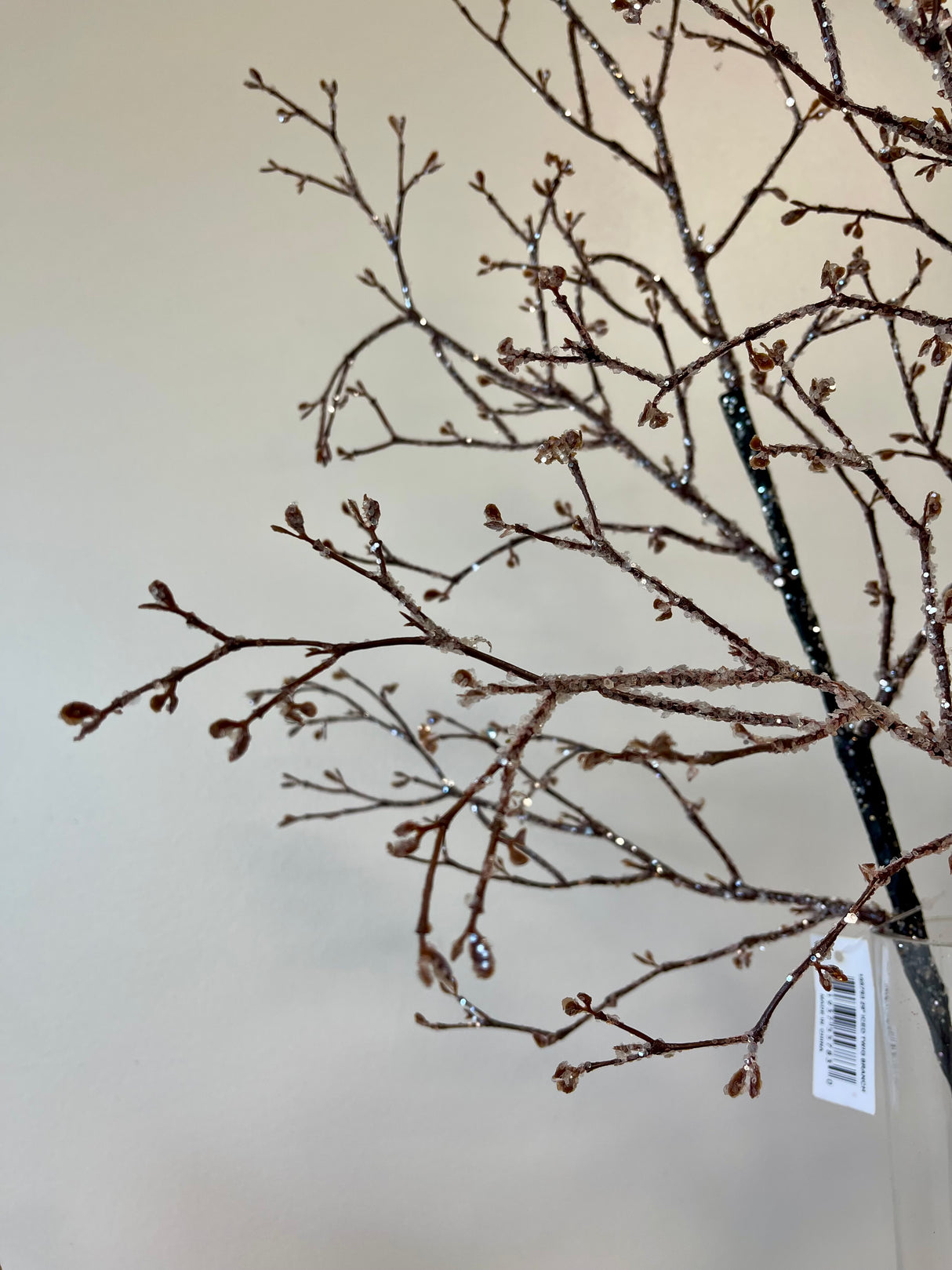 Iced Twig Branch