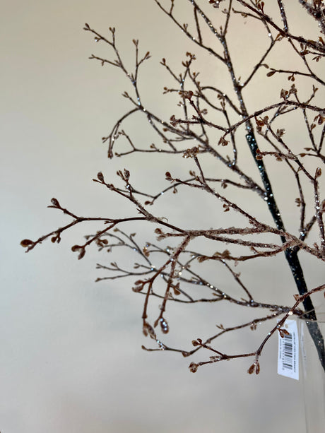 Iced Twig Branch