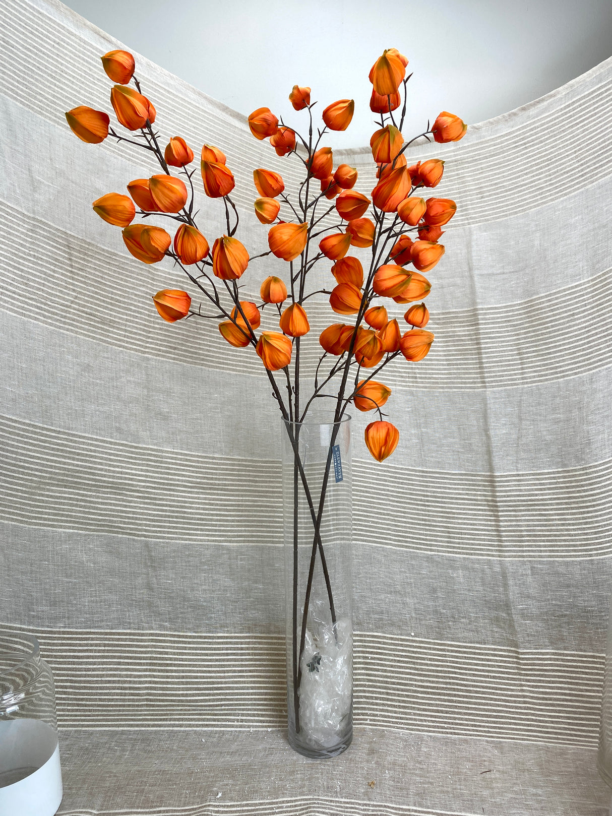 Jumbo Lantern Fruit Spray