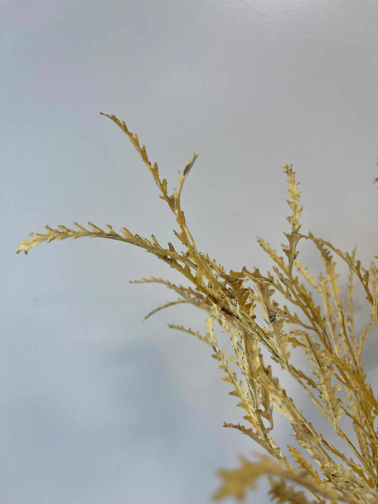 Wheat Real Touch Fern Bush