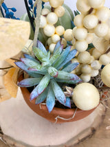 12" Lil Pumpkin pot