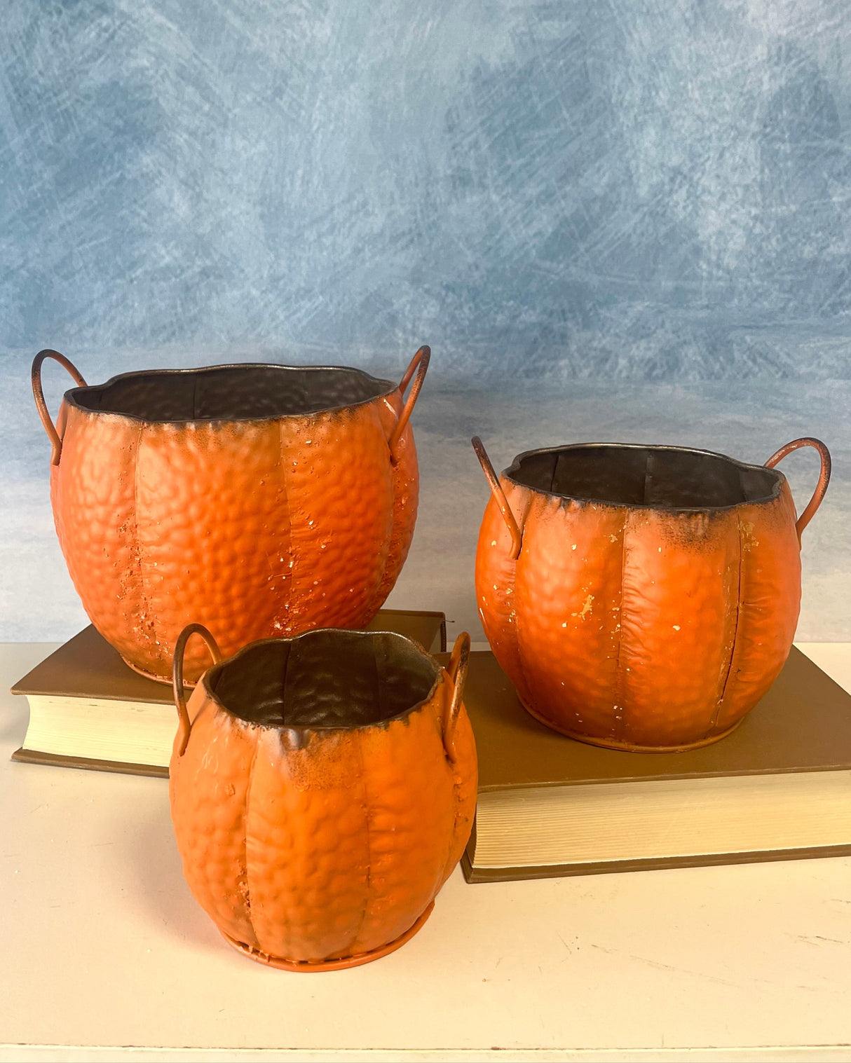 Pumpkin Planters -3 Sizes