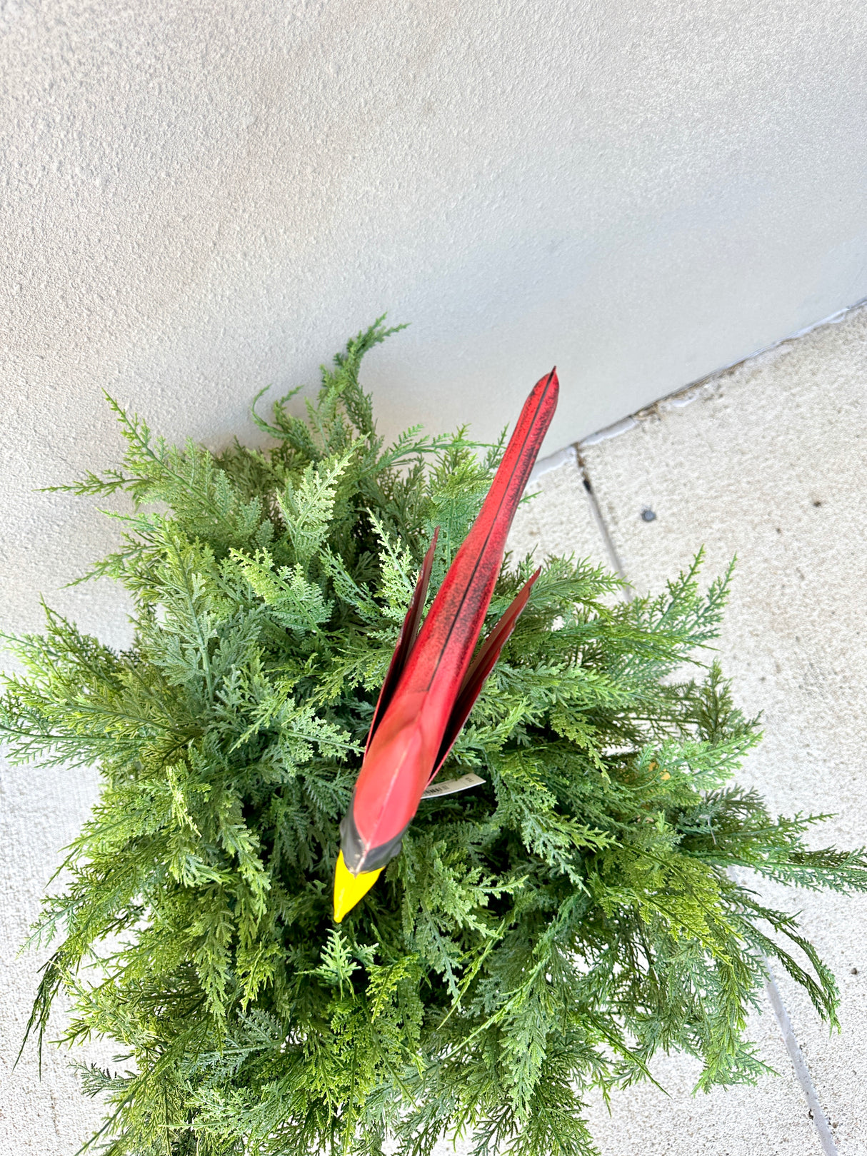 Red Cardinal Stake