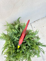 Red Cardinal Stake