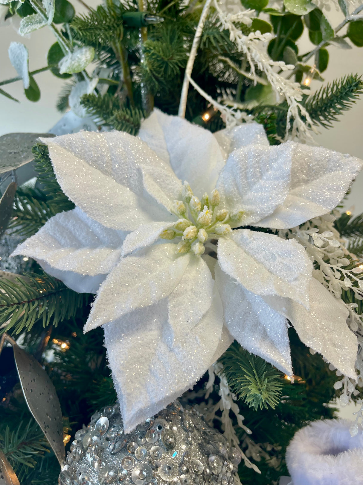 Snowed White Poinsettia Spray