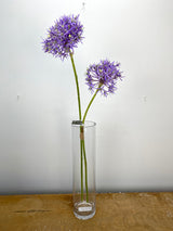 Lavender Allium Bundle