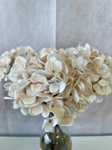 Warm Touch Hydrangea Spray