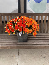 21" Fall In The Country Mum Porch Pot