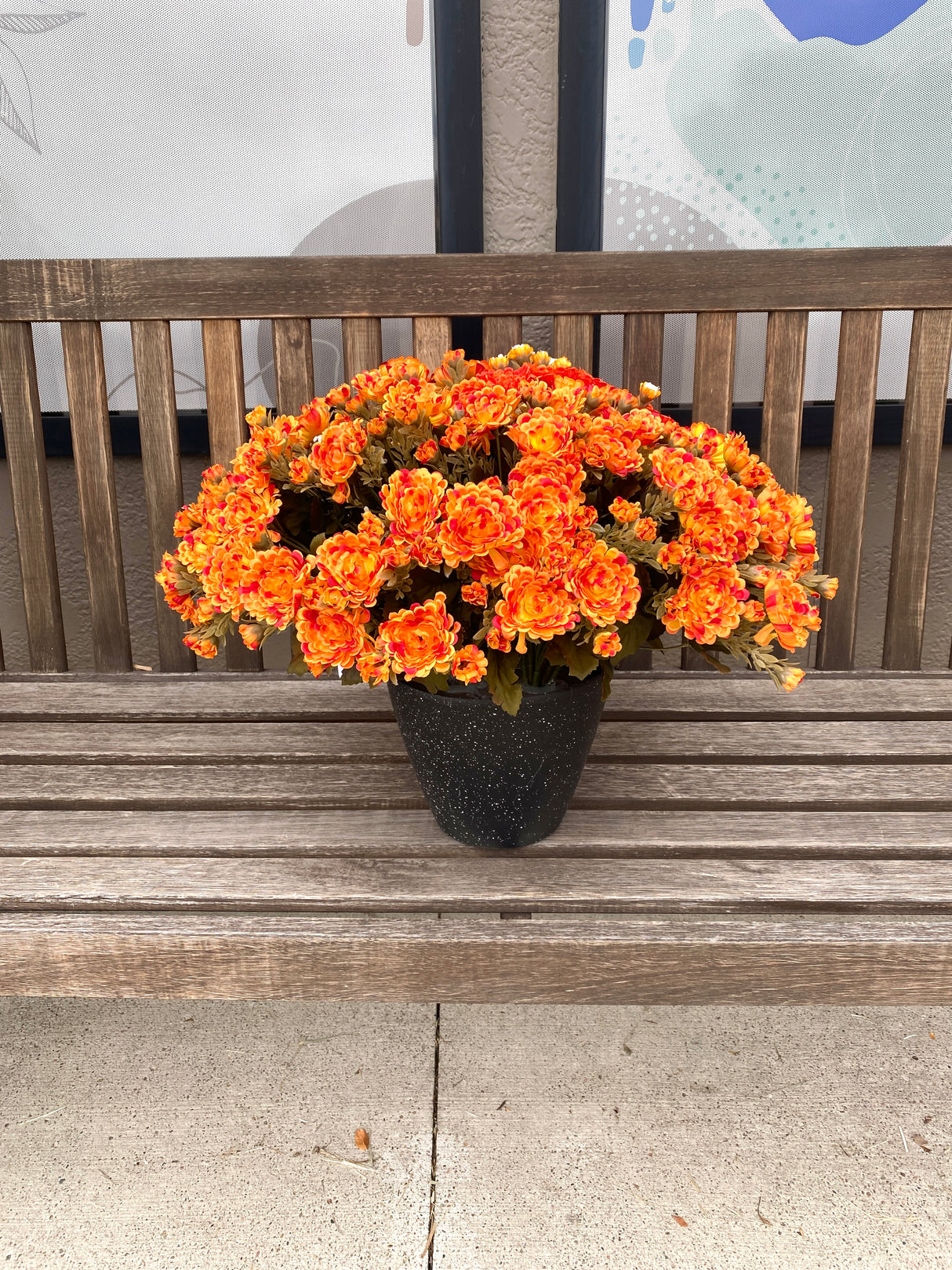 21" Fabulous Fall Mum Planter Insert