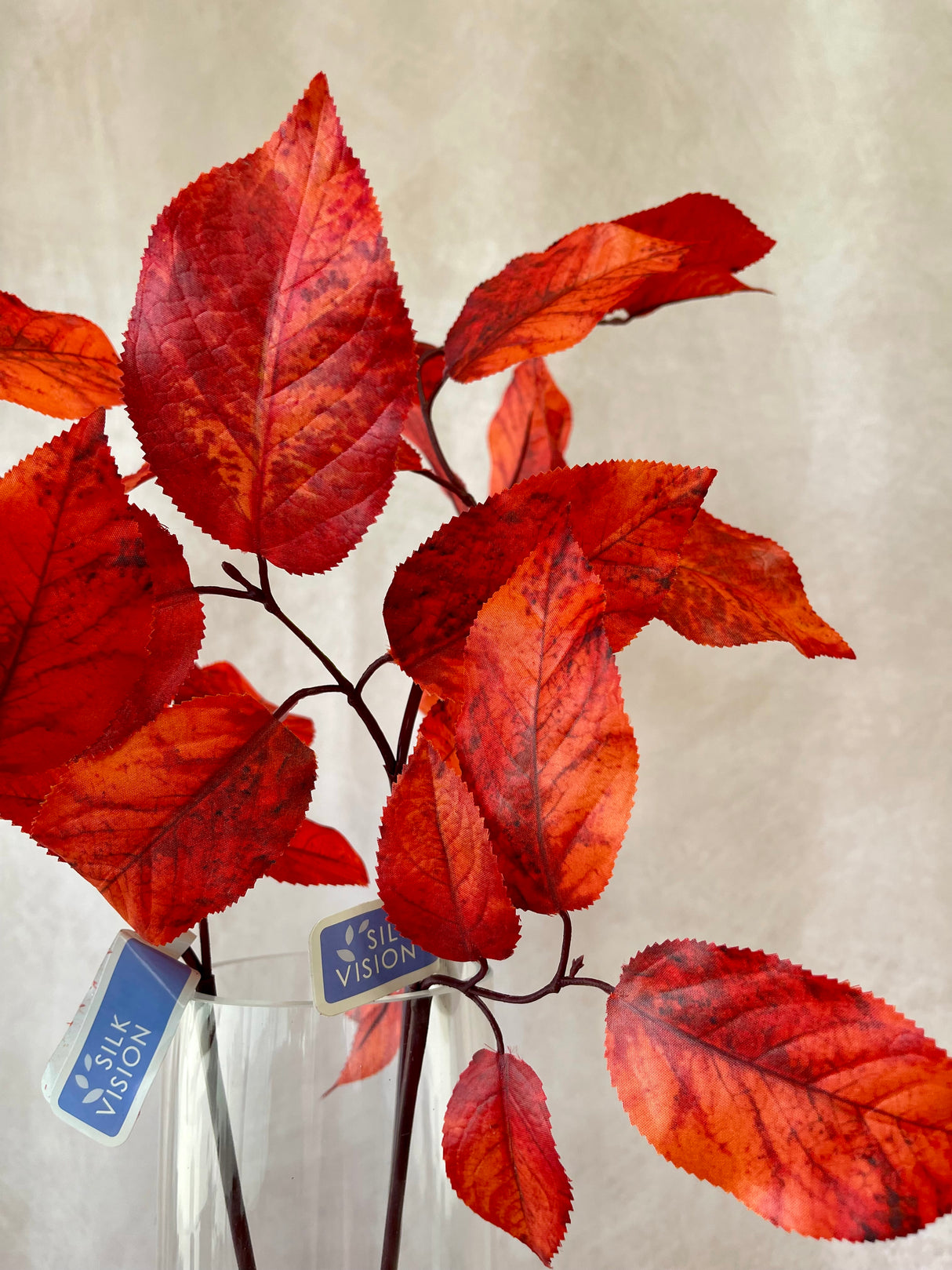 Flame Salal Leaf Spray