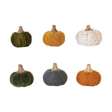 Cotton Baby Pumpkin- 6 Colors