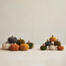 Cotton Baby Pumpkin- 6 Colors