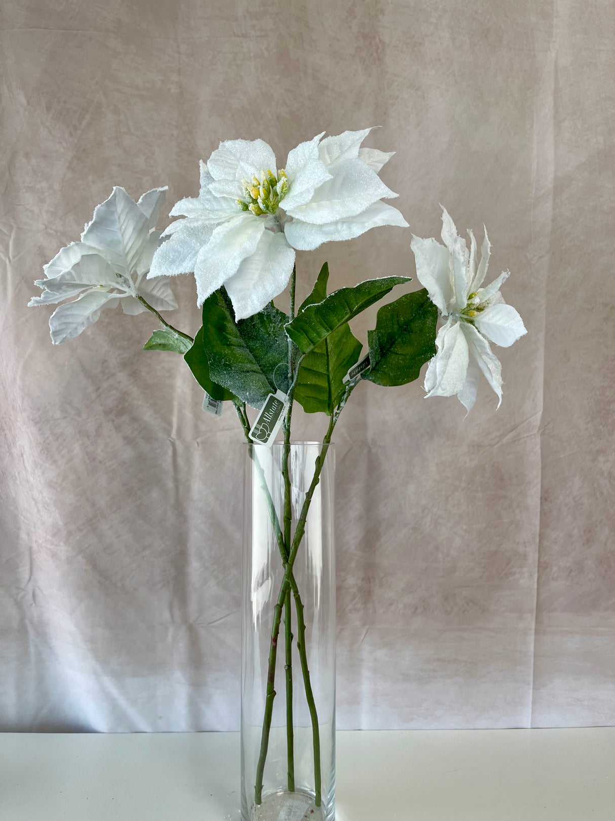 Snowed White Poinsettia Spray