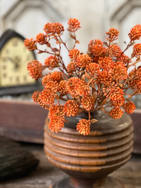 Russet Cone Bush