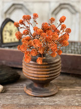 Russet Cone Bush