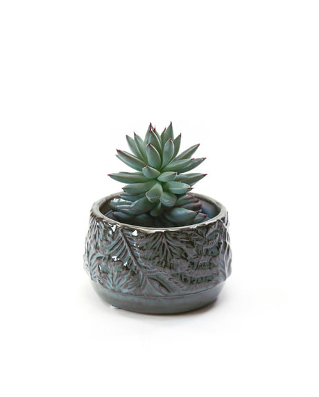 Medium Azure Blue Washed Fern Planter