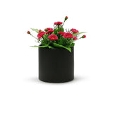 Black Cylinder Ceramic Planter