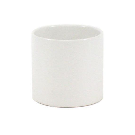 White Cylinder Ceramic Planter