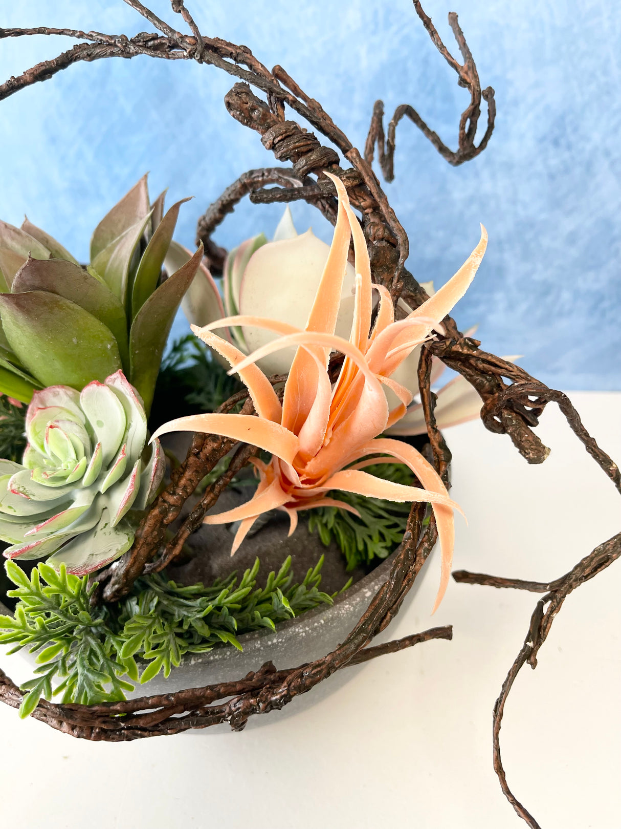 Chloe Succulent Centerpiece Kit